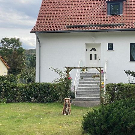 Ferienhaus am Mühlgraben Thale Exterior foto