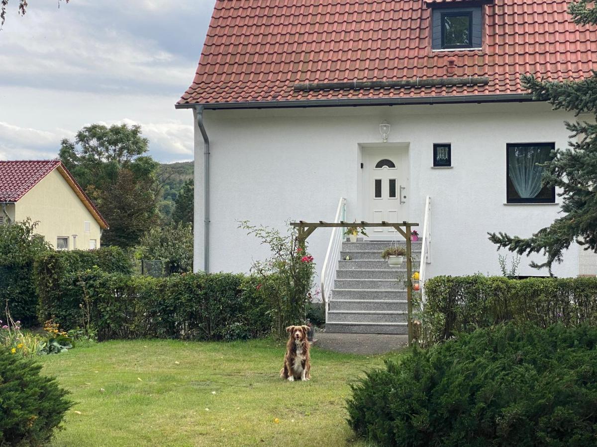 Ferienhaus am Mühlgraben Thale Exterior foto